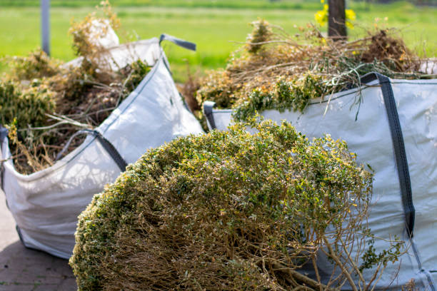 Debris Removal in Hurstbourne Acres, KY